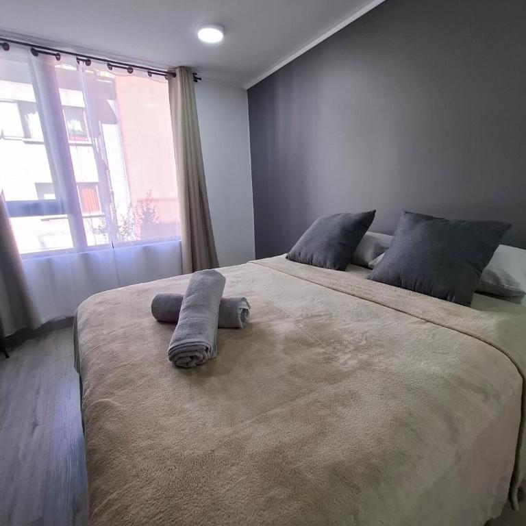 RFS Hogar & Descanso - Apartamento de 1 dormitorio - 21