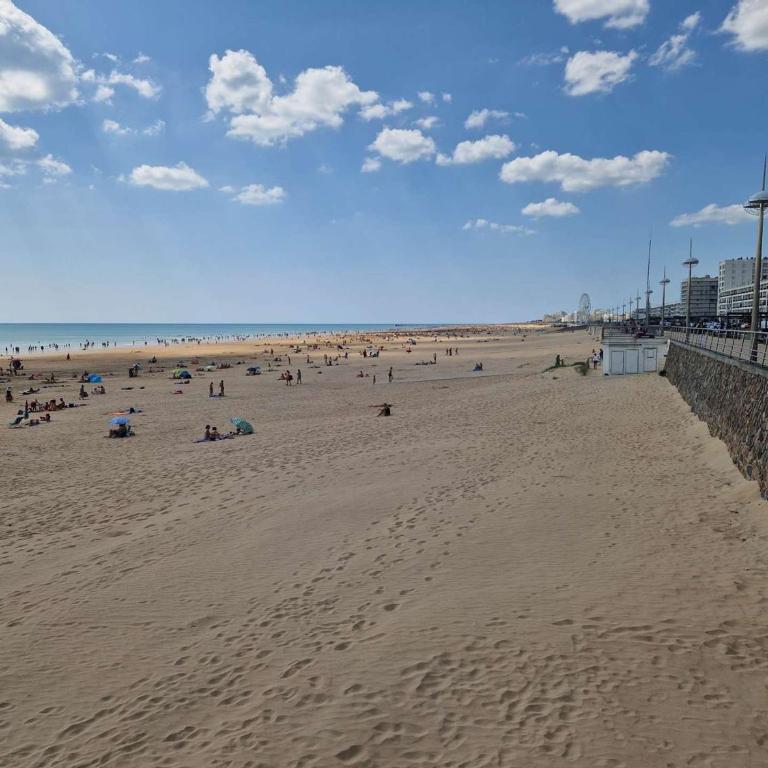 Studio cabine vue mer - 2 pers. - FR-1-224C-251 - Apartment - 17