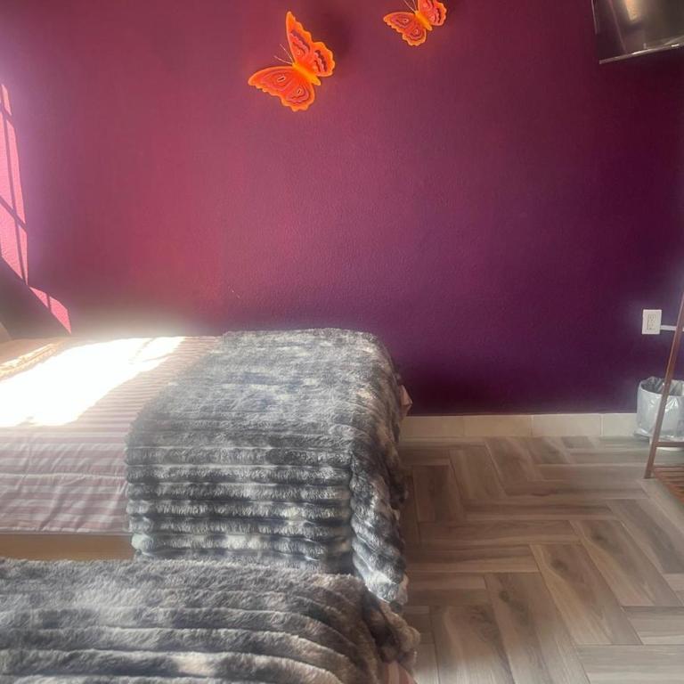 Alojamiento Artemisa - Double Room - 1