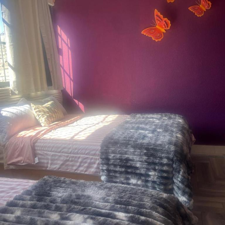Alojamiento Artemisa - Double Room - 3