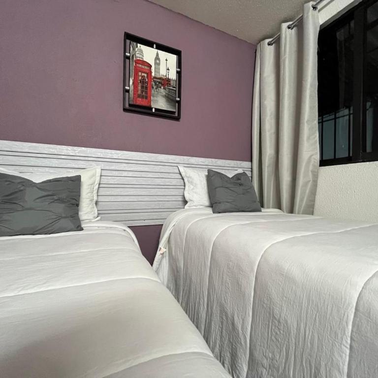 Alojamiento Artemisa - Twin Room - 5