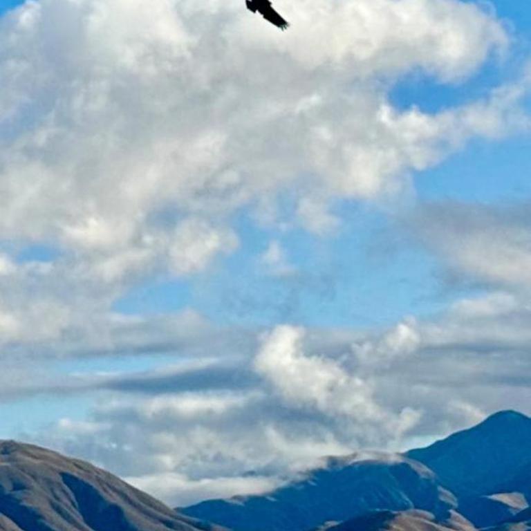NIQUIXAO Casa de Montaña - Casa de 2 dormitorios - 12