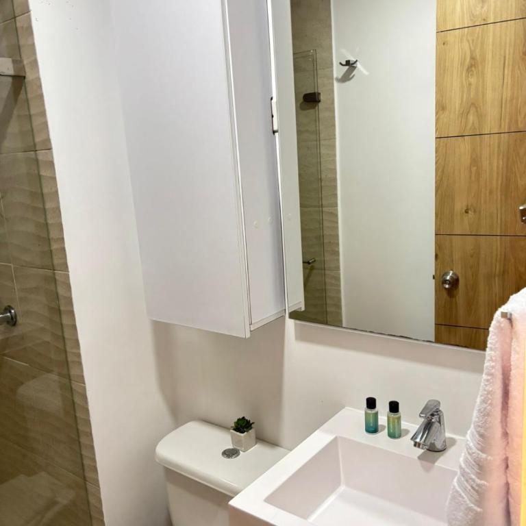 Varun Luxury Down Town Bogotá la Candelaria - Apartamento Estudio - 1 cama doble - 9