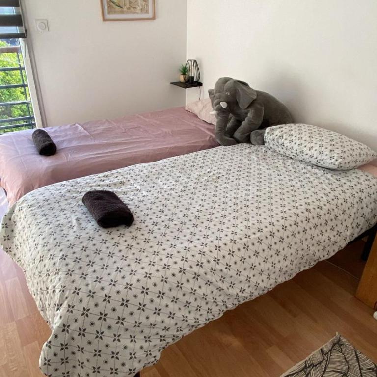 Appartement cosy jardin des plantes avec parking - Apartment mit 2 Schlafzimmern - 2