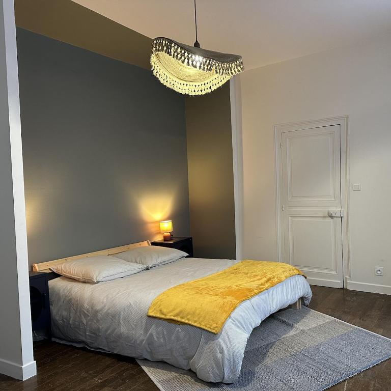 Ensemble Privatif - T3 et T4 - 190m2 - 10 pers - Cour et Parking - Hypercentre - Appartement - 4