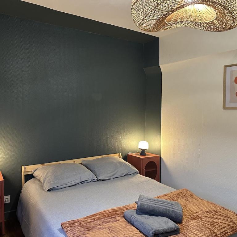 Ensemble Privatif - T3 et T4 - 190m2 - 10 pers - Cour et Parking - Hypercentre - Appartement - 14