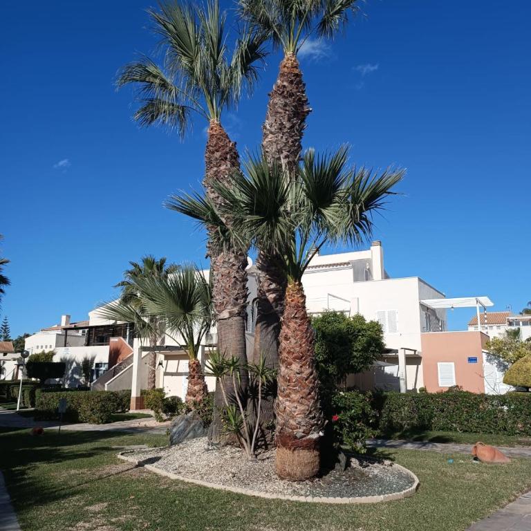Vera Natura Apartamento IRENE - Apartamento de 1 dormitorio - 30