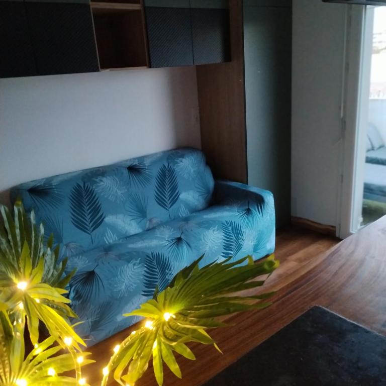 Grand studio cosy et lumineux - Appartement 1 Chambre - 5