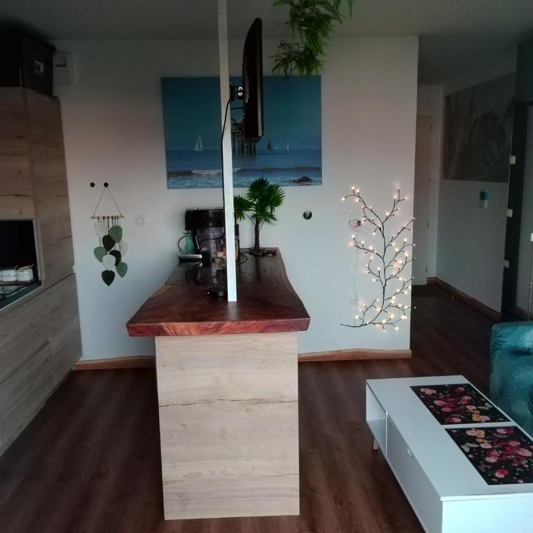 Grand studio cosy et lumineux - Appartement 1 Chambre - 20