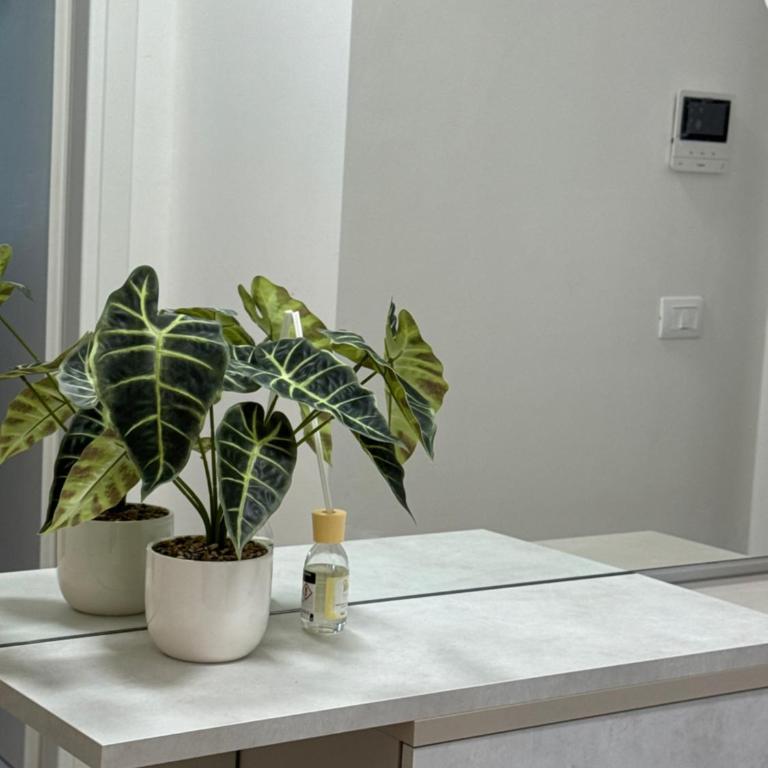Golden Charme Suite - One-Bedroom Apartment - 18