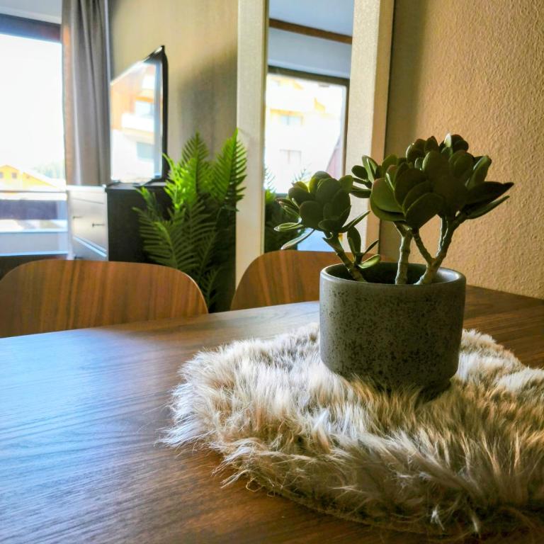 Stelo Appartments - Apartment - 3