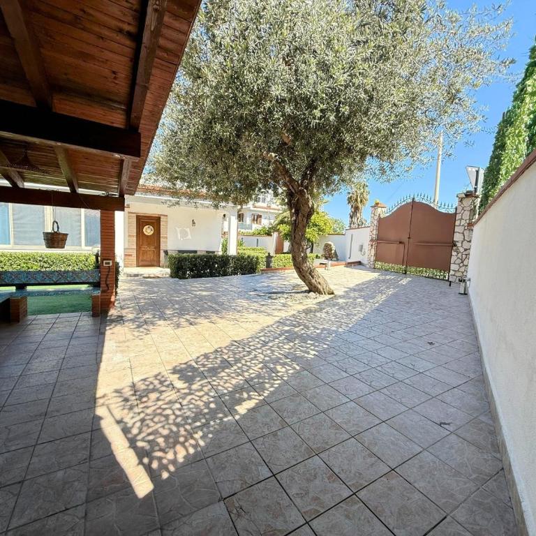 Ciachea Home Casa indipendente con parcheggio vicino Palermo e aeroporto - Ferienhaus mit 3 Schlafzimmern - 34