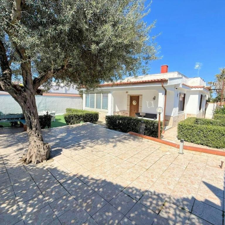 Ciachea Home Casa indipendente con parcheggio vicino Palermo e aeroporto - Ferienhaus mit 3 Schlafzimmern - 1