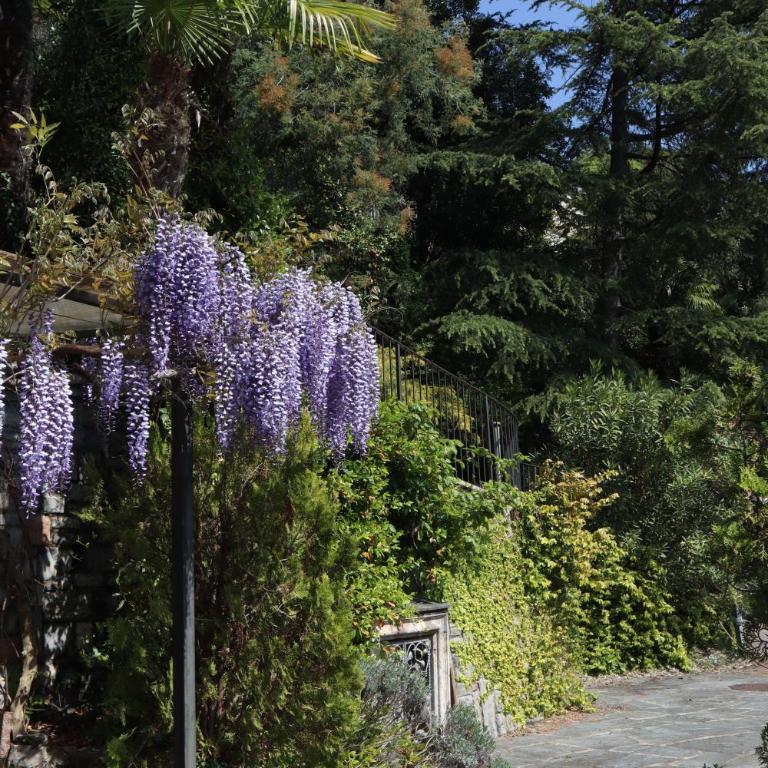 Barony romantic-residence - Appartamento con 3 Camere da Letto e Vista Lago - 10
