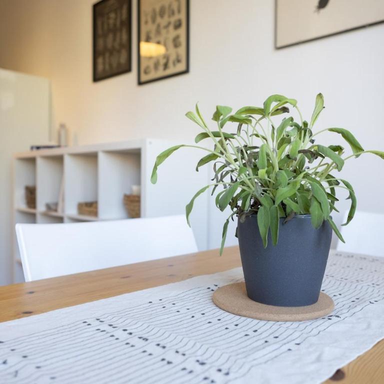 Spacious and bright accommodation with free parking - Appartamento con 2 Camere da Letto e Terrazza - 14