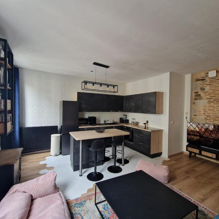 Le charmant, Hyper Centre Angers - Appartement 1 Chambre - 10