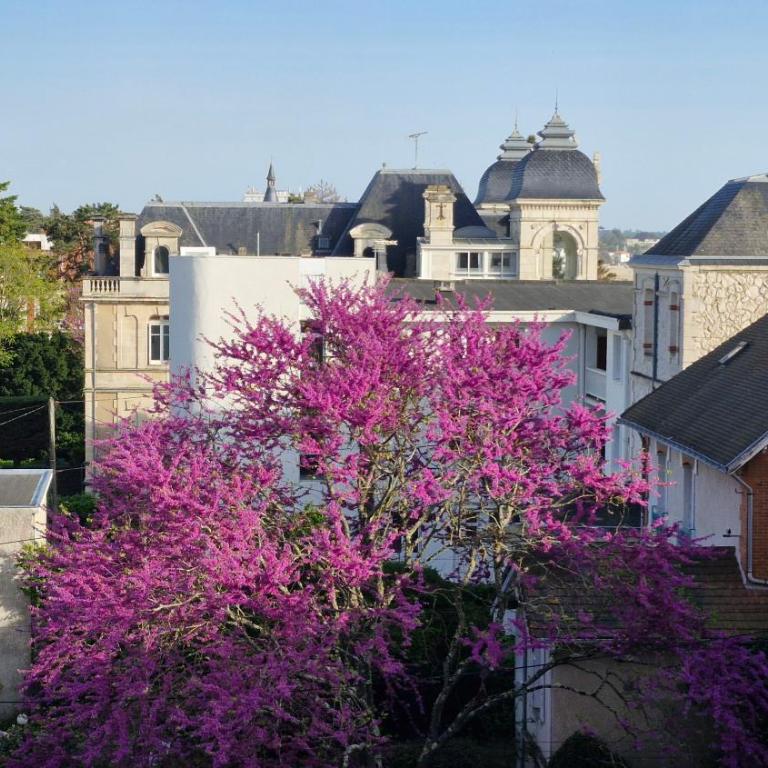 Royan - STUDIO LUMINEUX au calme - 30m de la PLAGE - Quartier du PARC - Appartamento Monolocale - 19