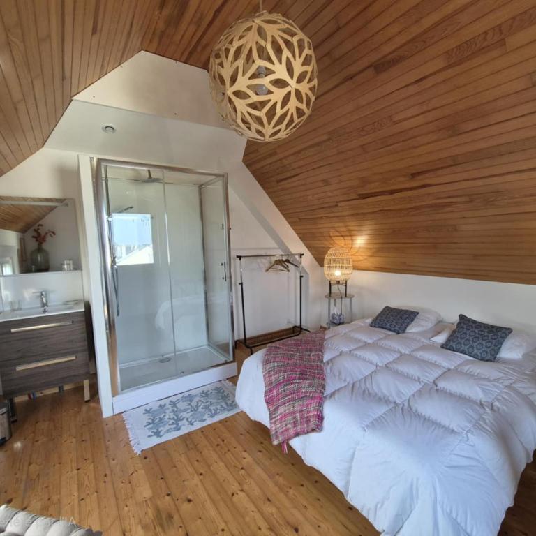 La Presqu'Île , charmante maison au calme - Appartamento con 1 Camera da Letto - 27