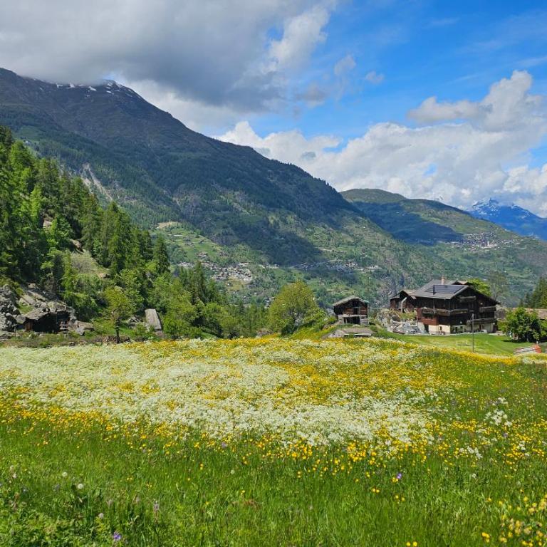 Grächbiel Mountain Rooms Small rooms with mountain feeling - Doppelzimmer mit Berg-Charme - 11