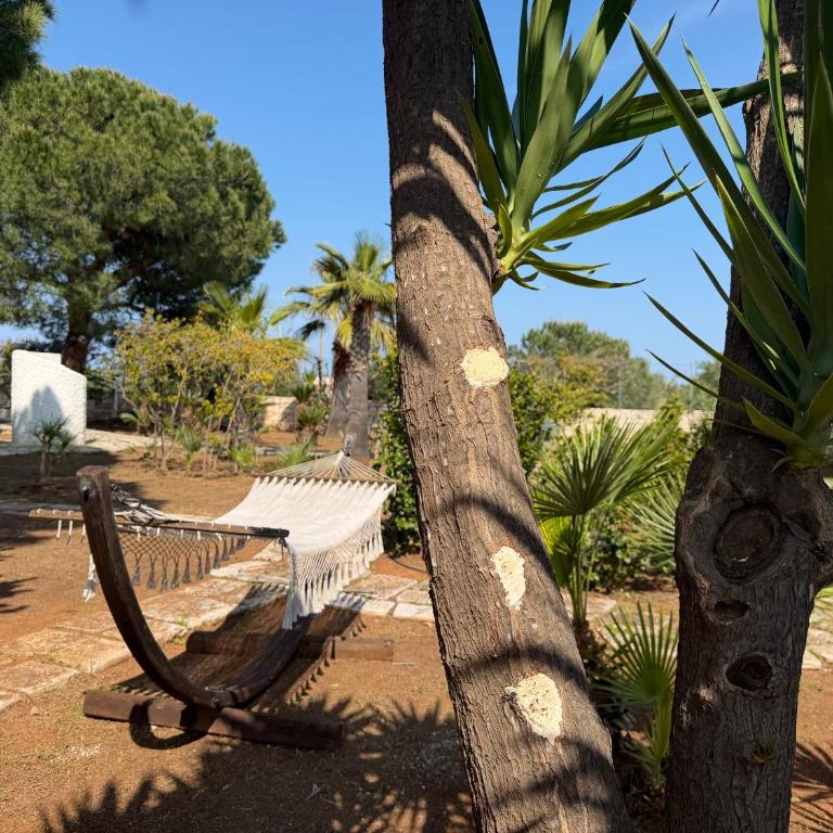 Villa Almandia, Capitolo, Monopoli - Casa con 7 Camere da Letto - 2