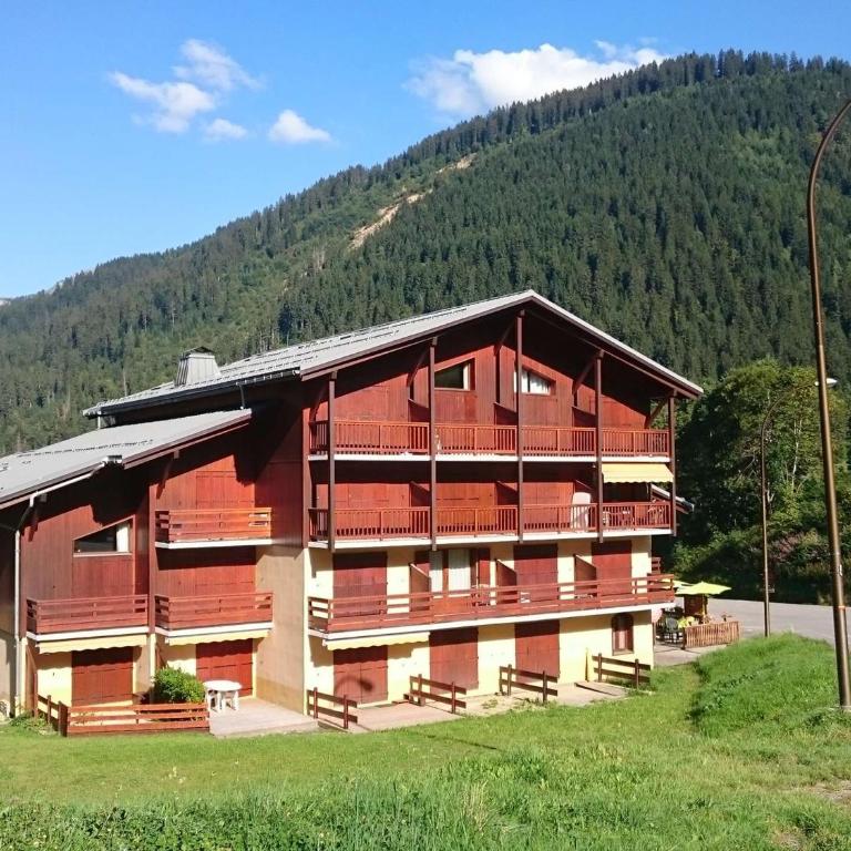 Charmant studio cabine, au pied des pistes, animaux admis - Studio - 14