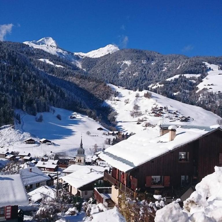 Appartement cosy 2 chambres à Arêches, cuisine équipée et terrasse - FR-1-342-203 - Apartamento (4 adultos) - 13