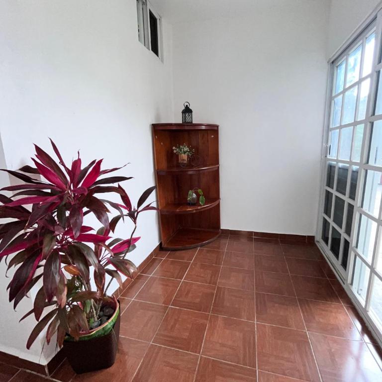 Departamento céntrico Tulum - Apartamento de 2 dormitorios - 5