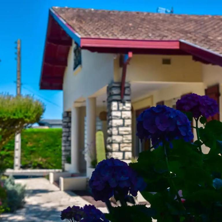 Villa Les Tourterelles - Maison landaise 8pers - Seignosse - Villa - 2
