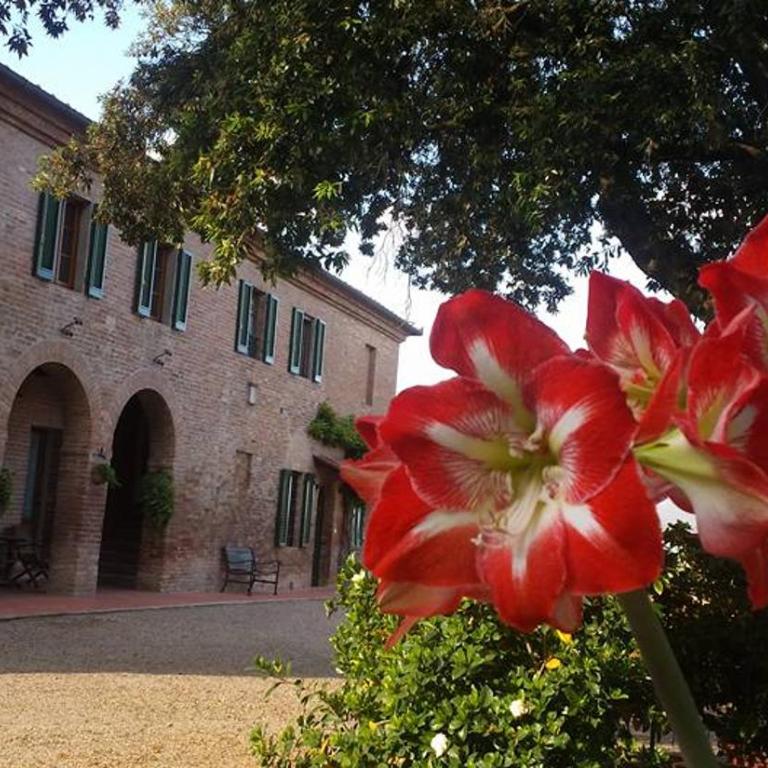 Agriturismo Il Poggiarello - Appartamento con 2 Camere da Letto - 14
