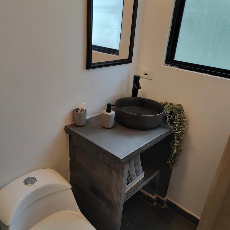 Boutique in the Forest Natural Refuge - Villa de 1 dormitorio - 29