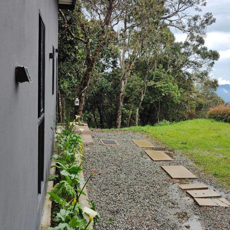 Boutique in the Forest Natural Refuge - Villa de 1 dormitorio - 41