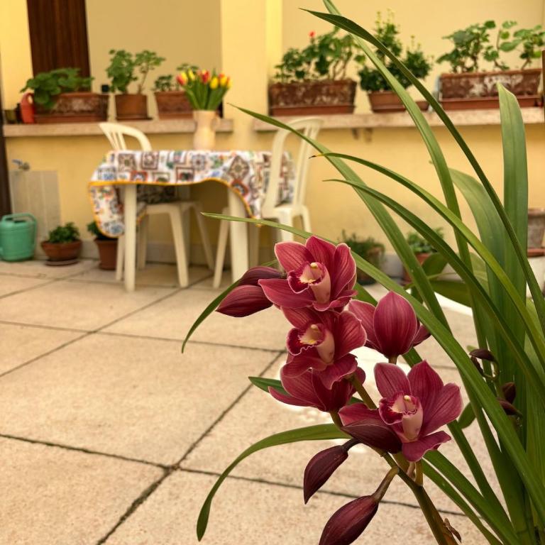 Casa Caterina - Appartamento con 1 Camera da Letto - 9
