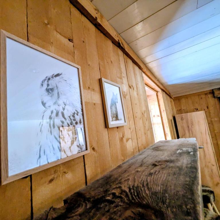 Le refuge de Marius - logement de colpoteur - Appartement 1 Chambre - 13