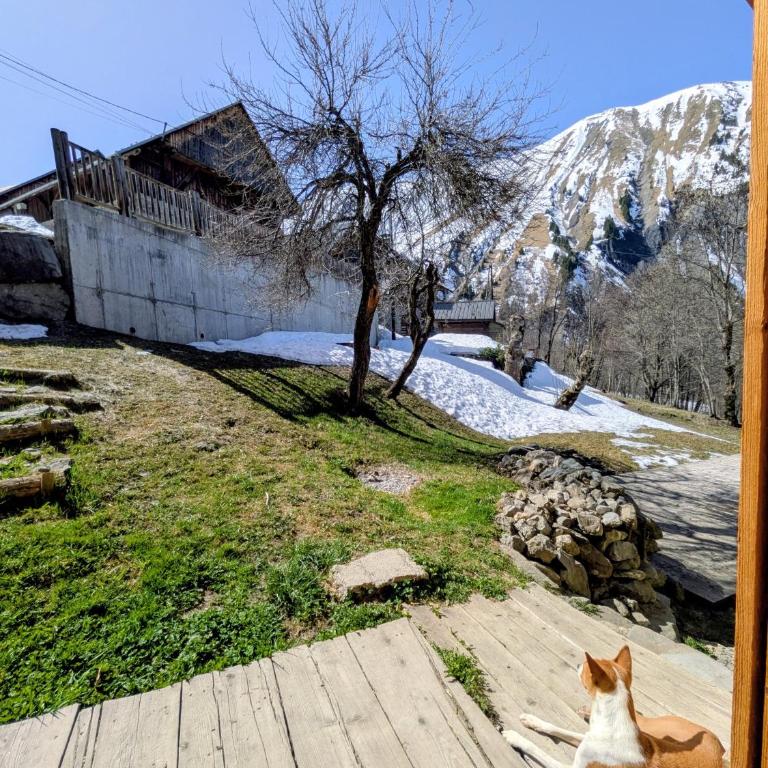 Le refuge de Marius - logement de colpoteur - Appartement 1 Chambre - 23
