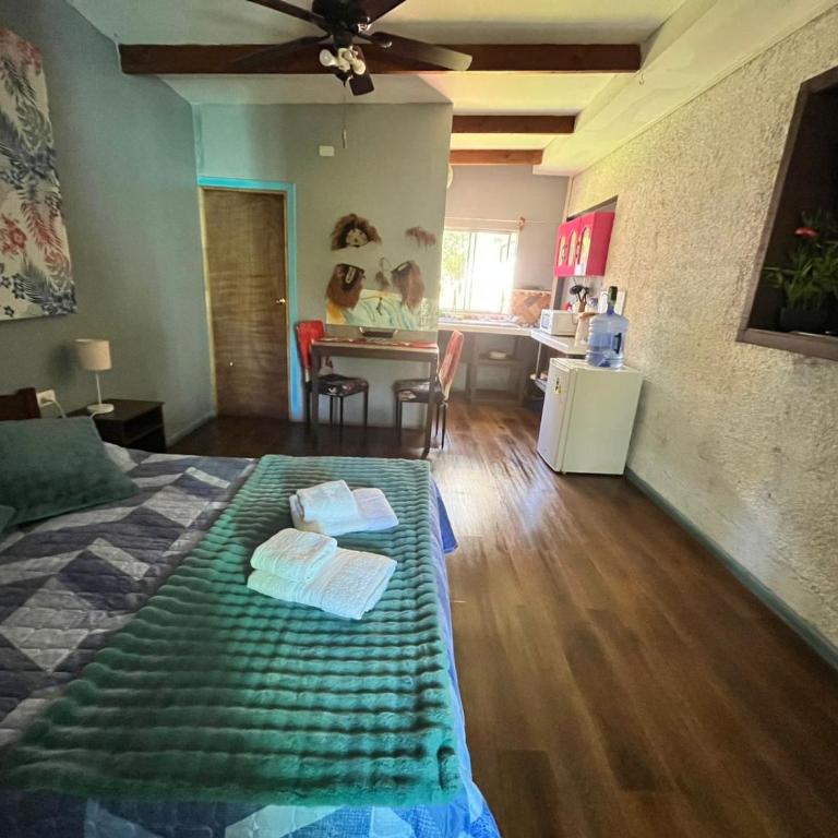 Hospedaje Henua Roa - One-Bedroom Apartment - 5