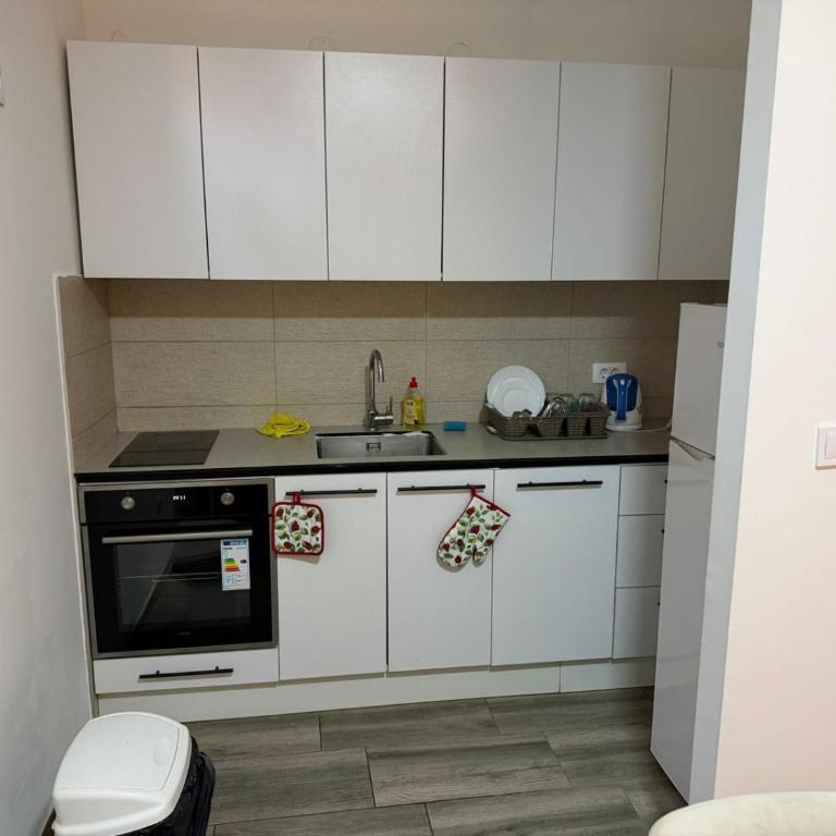 ES Apartments Podgorica - Apartman sa 2 Spavaće Sobe - 15