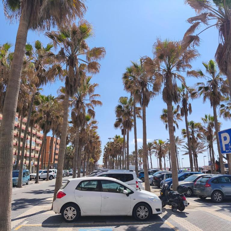 Almería Sol y Playa - Apartamento de 1 dormitorio - 13