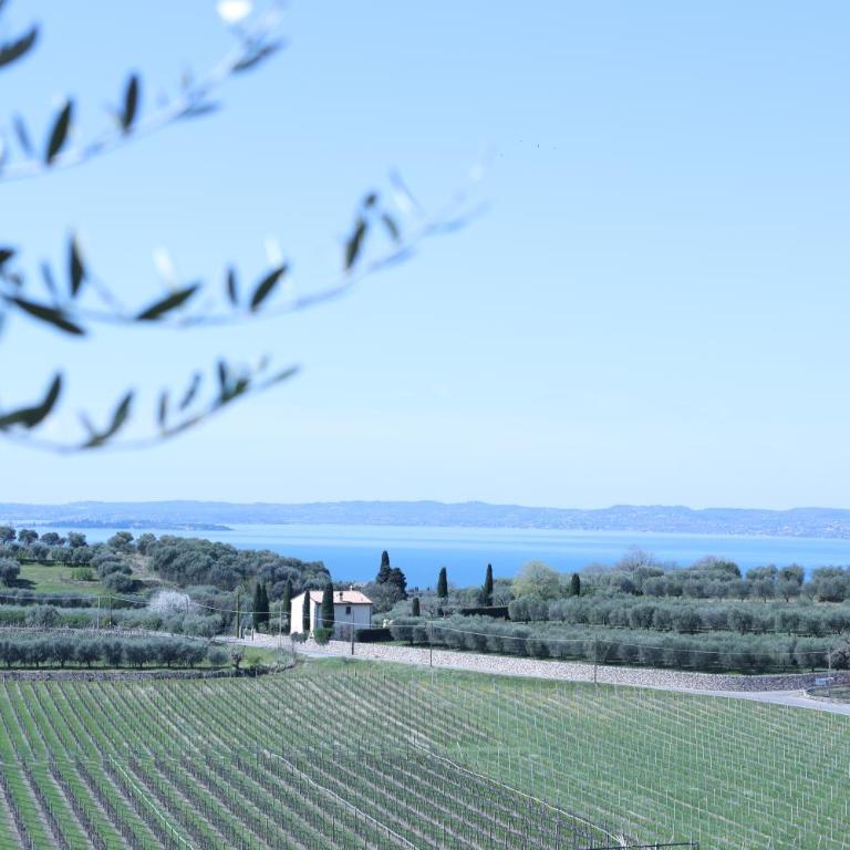 WANDERLUST OASI, COUNTRYSIDE APARTMENTS - Bardolino, Lago di Garda - Verona - Deluxe One-Bedroom Apartment with Garden View - 7