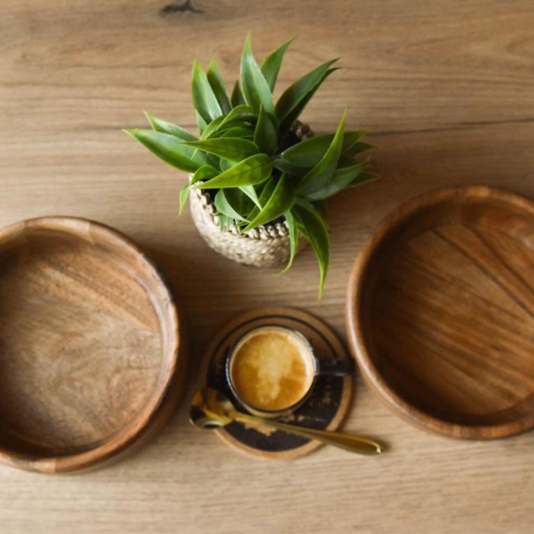 Zov planine - Two-Bedroom House - 9