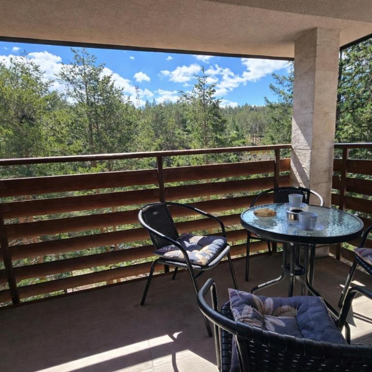 Pine Tree View Vila Pekovic Zlatibor - Apartman s 1 Spavaćom Sobom i Balkonom - 1