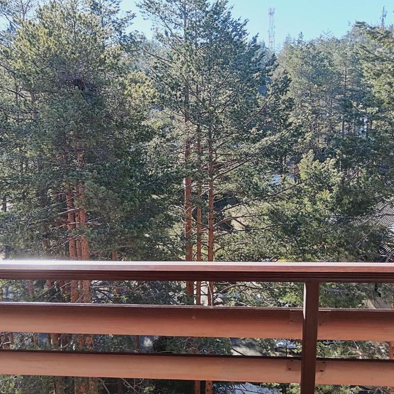 Pine Tree View Vila Pekovic Zlatibor - Apartman s 1 Spavaćom Sobom i Balkonom - 3