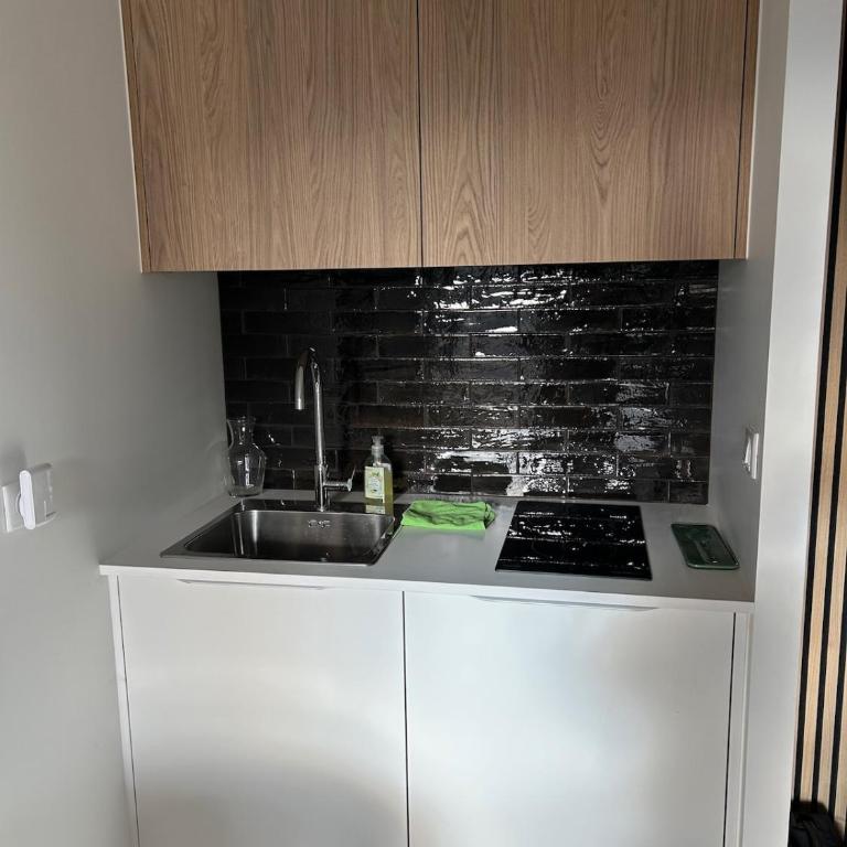 Lyon Saint Rambert Appartement - Two-Bedroom Apartment - 8