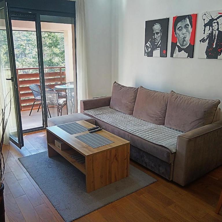 Pine Tree View Vila Pekovic Zlatibor - Apartman s 1 Spavaćom Sobom i Balkonom - 10