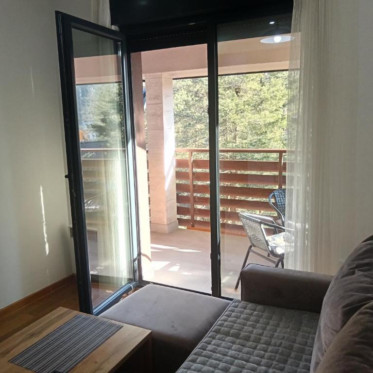Pine Tree View Vila Pekovic Zlatibor - Apartman s 1 Spavaćom Sobom i Balkonom - 11