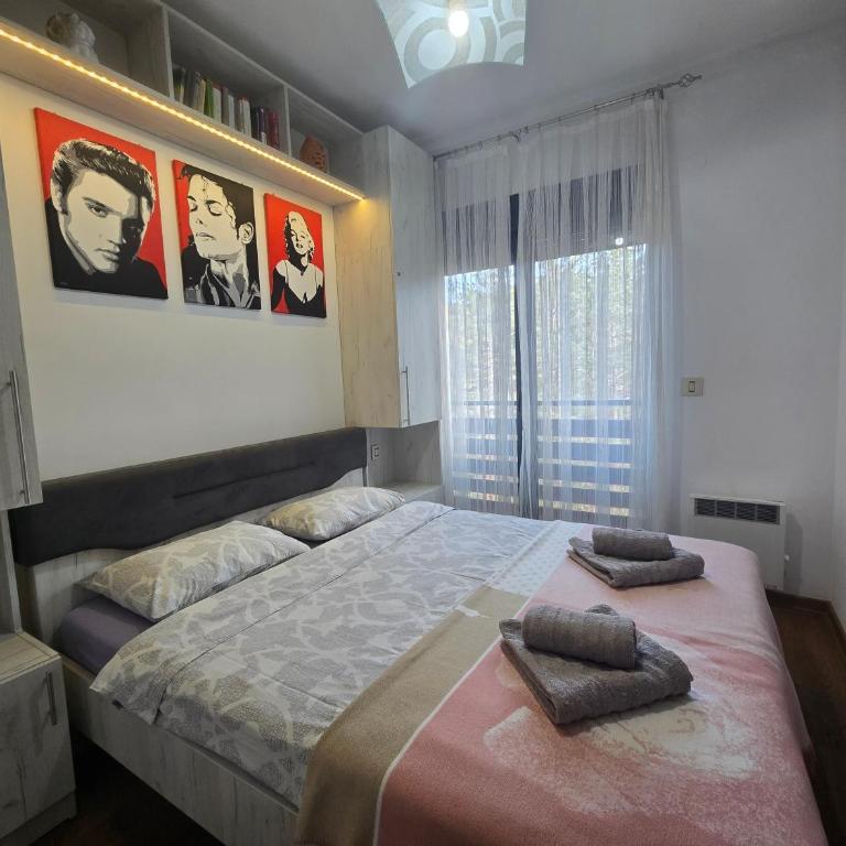 Pine Tree View Vila Pekovic Zlatibor - Apartman s 1 Spavaćom Sobom i Balkonom - 13