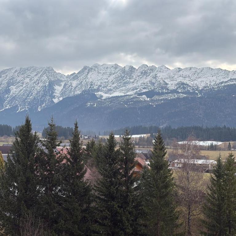 Zum Alpenreichapartment Bad Mitterndorf - Apartment mit 1 Schlafzimmer - 44