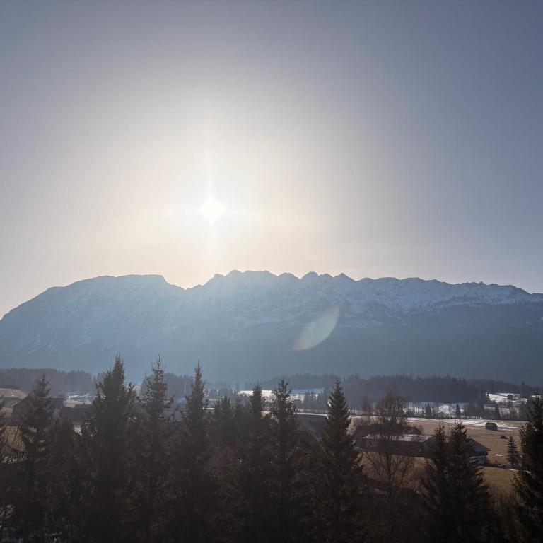 Zum Alpenreichapartment Bad Mitterndorf - Apartment mit 1 Schlafzimmer - 43
