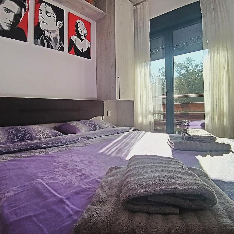 Pine Tree View Vila Pekovic Zlatibor - Apartman s 1 Spavaćom Sobom i Balkonom - 14