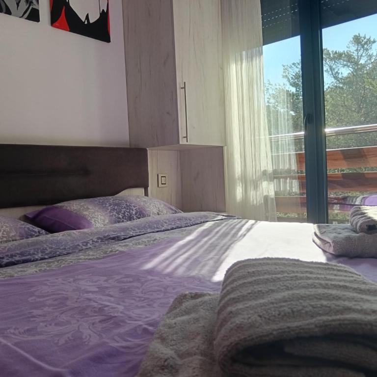 Pine Tree View Vila Pekovic Zlatibor - Apartman s 1 Spavaćom Sobom i Balkonom - 15