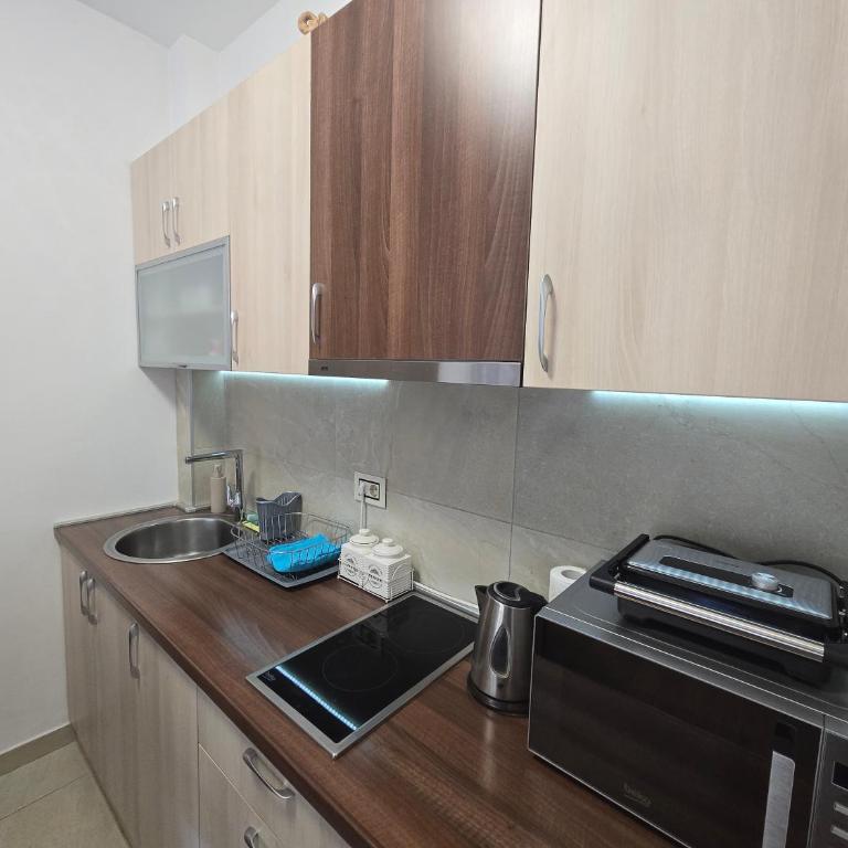 Pine Tree View Vila Pekovic Zlatibor - Apartman s 1 Spavaćom Sobom i Balkonom - 17